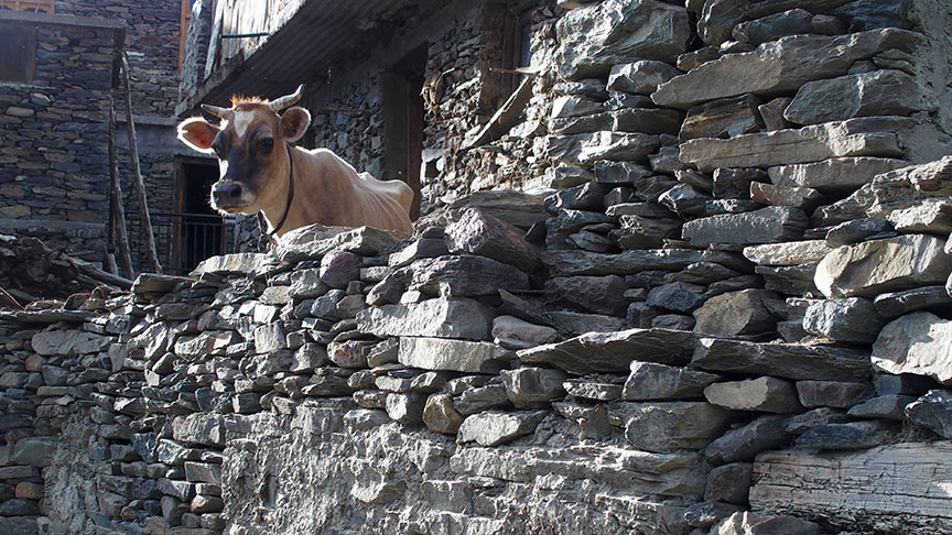 Keylong Lahaul India stone building